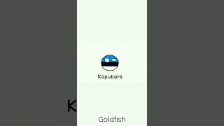 kabybara in different languages #country #europe #fypシ #poland #polandball #countryball #viral #fyp