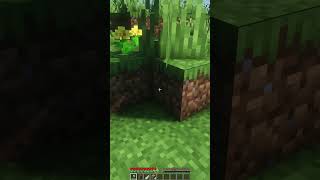 ТЫ ЭТОГО ТОЧНО НЕ ЗНАЛ!!! Minecraft #shorts