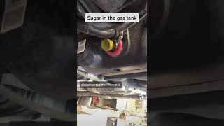 Sugar in the gas tank