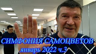 Москва. Январь 2022. ВЦ Амбер Плаза. Ювелирный фестиваль &quot;Симфония Самоцветов&quot;. Часть  3