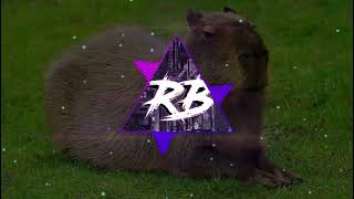 Сто-Личный Она-Нас - Capybara | Phonk Edition
