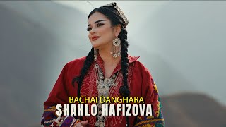 Шахло Хафизова -  Бачаи Дангара (2025)