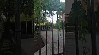 станция метро Балтийская Балтийский вокзал Обводный канал набережная Обводного канала Питер СПб 2023
