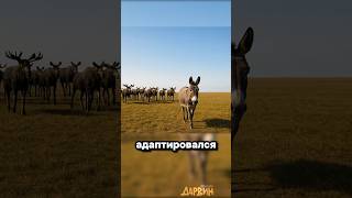 Зов природы