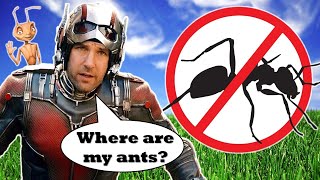 Ant-Man and the Wasp: Quantumania - Where are the ants?
