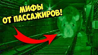 Мифы о метро [Крысы в тоннеле]