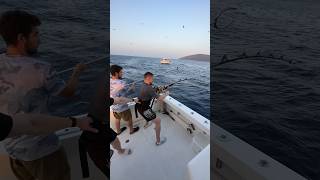 Рыба утащила человека #рыба #рыбак #рыбалка