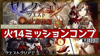 【FFBE幻影戦争】火セレクエ14ミッションコンプ！【wotv】