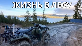 Жизнь в лесу. Рассказ городского жителя.