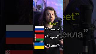 Russian vs Belarusian language 🇧🇾🇷🇺