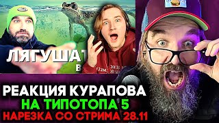 РЕАКЦИЯ НА ЛЯГУШАТНИК ТИПОТОП | РЕАКЦИЯ КУРАПОВА НА ТИПОТОП НАРЕЗКА СО СТРИМА 28.11
