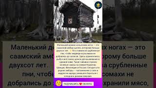Дом на ногах - Зачем Их строили ? #интересно #истории #интересныефакты #люди #жизнь