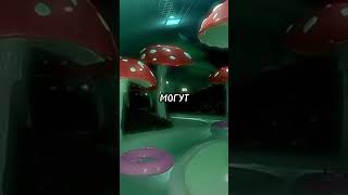 👁️🧸 Предлагайте свои идеи в комментарии 🧸👁️