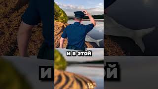 Премии Дарвина