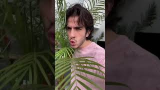 Mi adicción