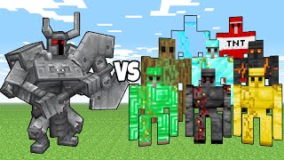 Ferrous Wroughtnaut Vs All Types Golems | Minecraft Mob Battle