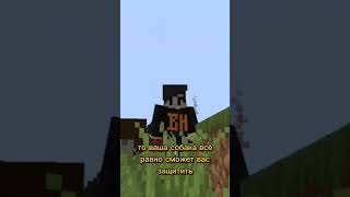5 ФАКТОВ В МАЙНКРАФТЕ О КОТОРЫХ ТЫ НЕ ЗНАЛ! #shorts #minecraft #майнкрафт