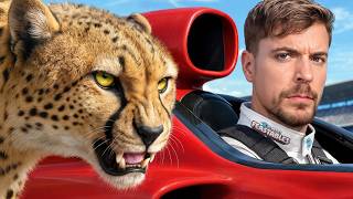 World&#39;s Fastest Car Vs Cheetah!