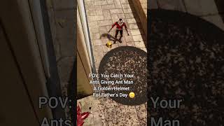 Ants Surprise Ant Man on Father&#39;s Day 🤯
