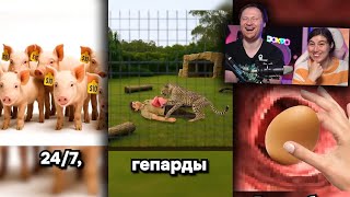 РЕАКЦИЯ на Тик Ток и Ютуб Шортс #30 Премия ДАРВИНА