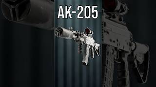 What was the AK-205 for? - Battlefield 6 beta