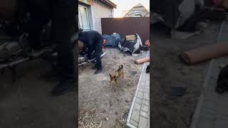 Иж планета после замены сальников коленвала
