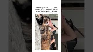 Когда пришел домой еле живой после работы, но она хочет поговорить с тобой)
