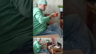 Ты же не Пьешь Это☕😀⛅🏡 #подпишись #catvideos #cats #cat #кот #позитив #fannycat #humor #cartoon