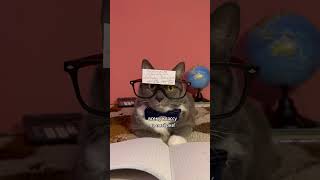 ЕСЛИ БЫ КОТИКИ ХОДИЛИ В ШКОЛУ - КОСИНУС ТАНГЕНОВИЧ