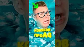 Кобяков ВЫСКАЗАЛСЯ про А4 😱