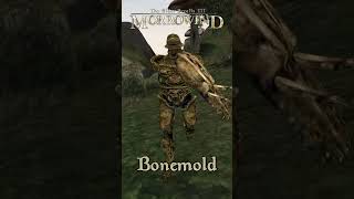 Morrowind Armor Showcase - Bonemold