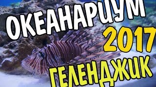 VLOG 278 Геленджик LIFE Океанариум в Геленджике