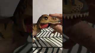 Lego Jurassic world custom trex #feed #dinosaur #lego #mrbeast #viral #feed #jurassicworld #mrbeast