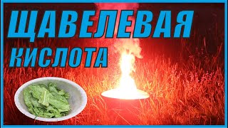 Щавелевая кислота- коварная НЕ пищевая добавка.