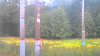 Нара-Бекасово 1 из окна электропоезда ЭР2Т-7140