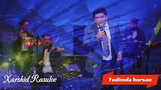 Xurshid Rasulov - Yodimda borsan (Live 2024)