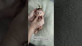 Bebê macaco reborn todo molinho em silicone