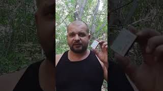 Что нужно сделать если укусил каракурт
