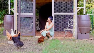 Страшная История | Чуть не Потеряли Цыпленка | Обзор Готового Курятника | Жарю Кролика | Эгине