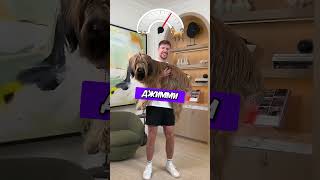 Мистер Бист Поднимает На Руках Все Более Крупных Собак 🤯😰  #mrbeast #a4