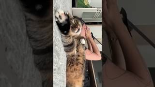 Когда муж пришёл с работы, а жена рассказывает как прошёл её день.🤣