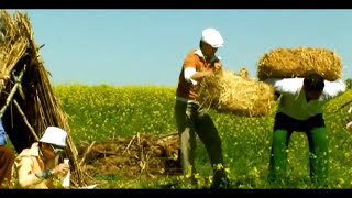 Bojalar - Anhor bo&#39;yida | Божалар - Анхор буйида