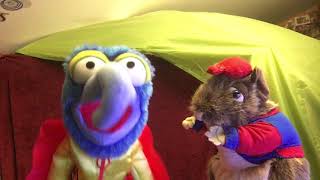Gonzo and Rizzo the Rat Sing Wooly Bully