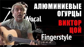 В.ЦОЙ / Алюминиевые огурцы /  Fingerstyle Cover