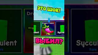 🌈ВЫБИЛ РАДУЖНЫЙ ПАК! 😱ОТКРЫЛ НОВЫЕ ПАКИ СЕМЯН В ВЫРАСТИ САД GROW A GARDEN