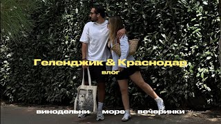 Краснодар &amp; Геленджик влог: вечеринки, море, винодельни