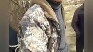 В кочкорском селе главу айыл окмоту и участкового привязали к дереву.