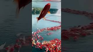 Bon Koto boro mass #ytshorts #funny #tranding #fishing #fiah