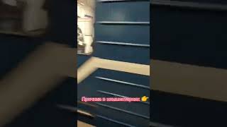 &quot;Номерной&quot; в Санкт-Петербурге#метро #москва #питер #поезд 🥰