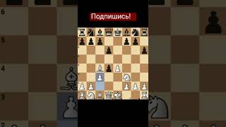 Лучшая атака в шахматах 100% победа! 👍 #дебюты #ловушки #шахматы #chess #chessgame